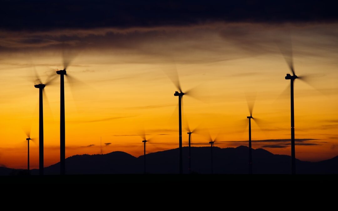 Erneuerbare Energien: Treibhausneutralität als gemeinsames europäisches Ziel
